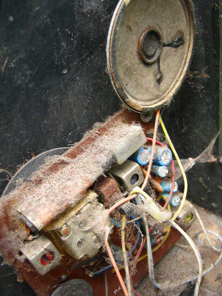 Documentary filmmaking